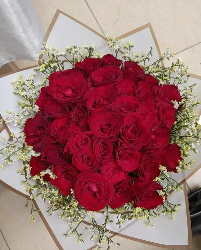 Love in red, red roses with babys breath image by MJflowers