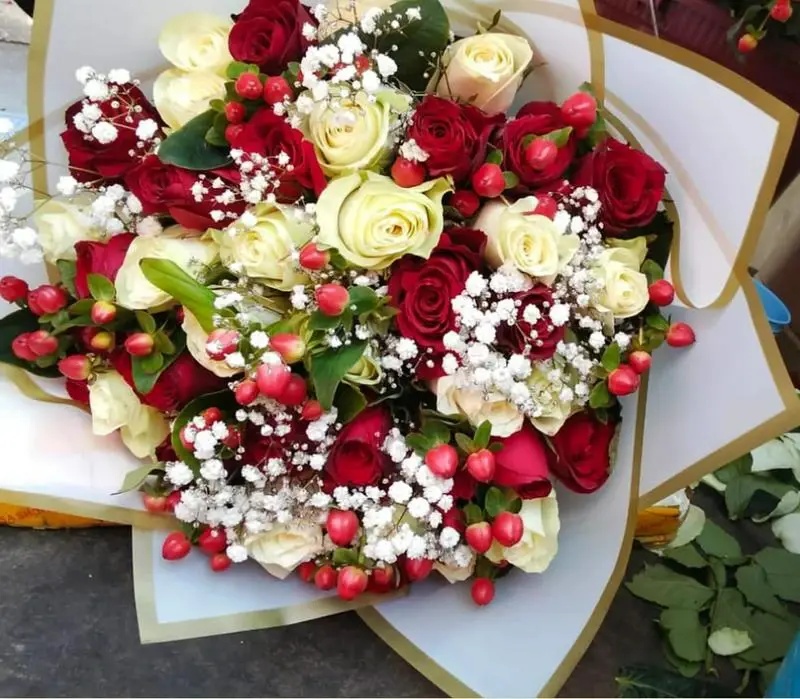 Lovey red and white roses image by MJflowers