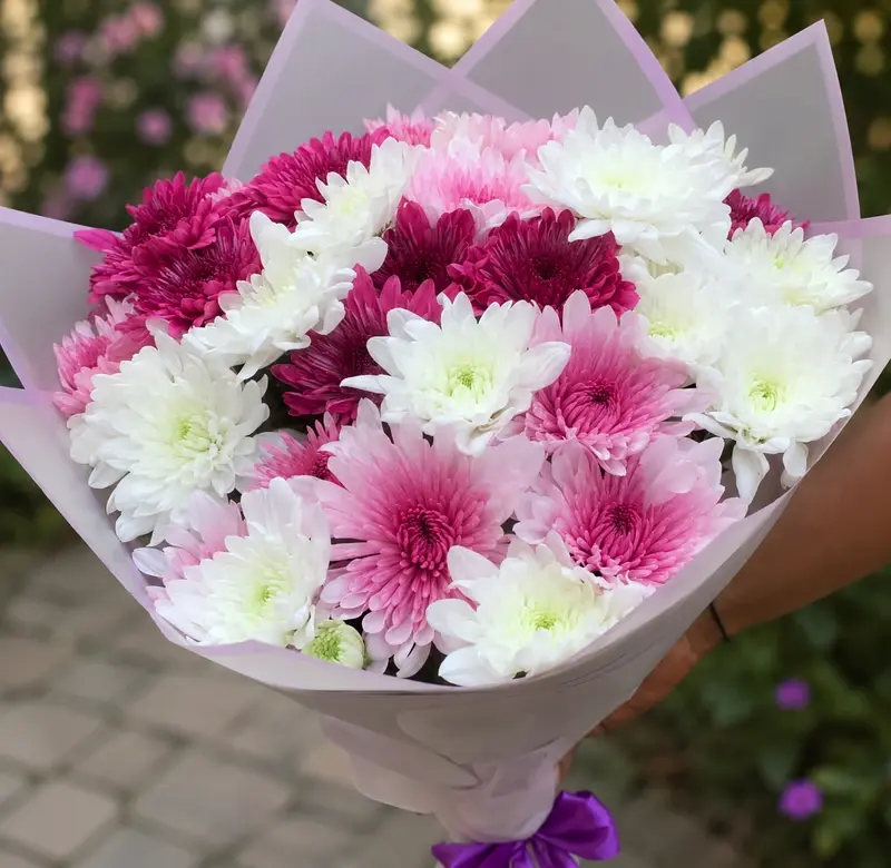 Pearl & Pink Chrysanthemums image by MJflowers